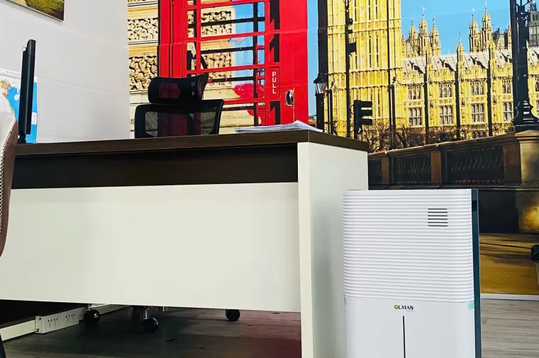 Humid Days & Mold Growth? An A-Z Guide to Choosing a Home Dehumidifier by Room Size